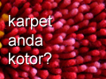 cucikarpet.com